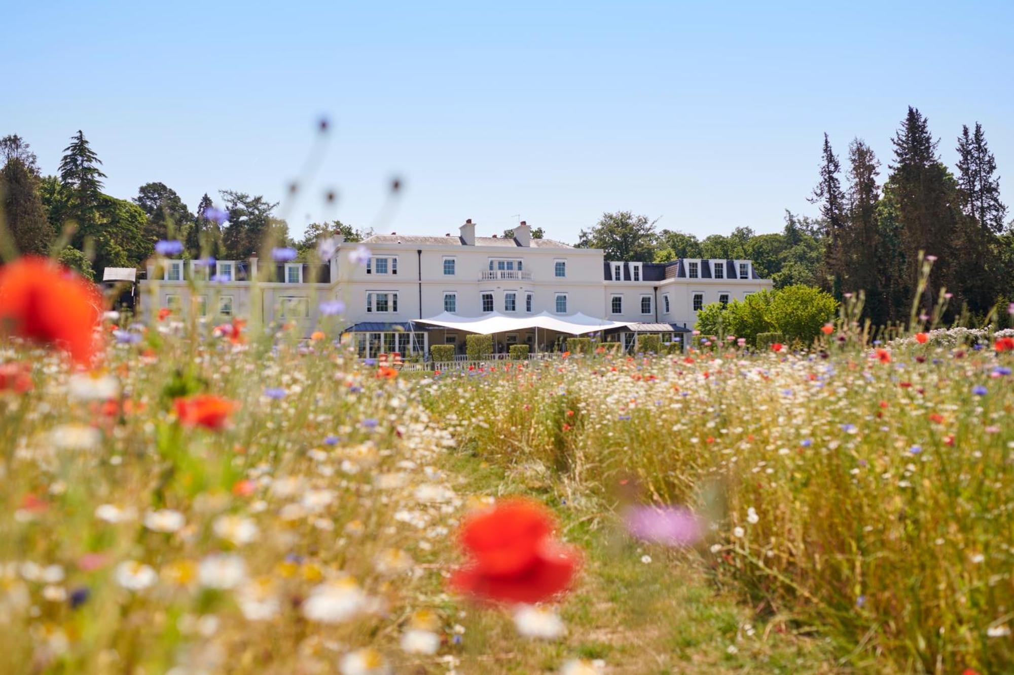 Coworth Park - Dorchester Collection Ascot (Berkshire) Exterior foto